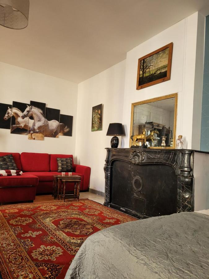 Studio Sequoia Au Pied Du Chateau Сомюр Экстерьер фото