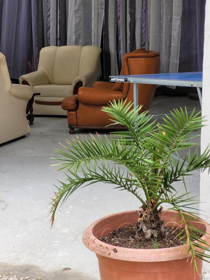 Studio Sequoia Au Pied Du Chateau Сомюр Экстерьер фото