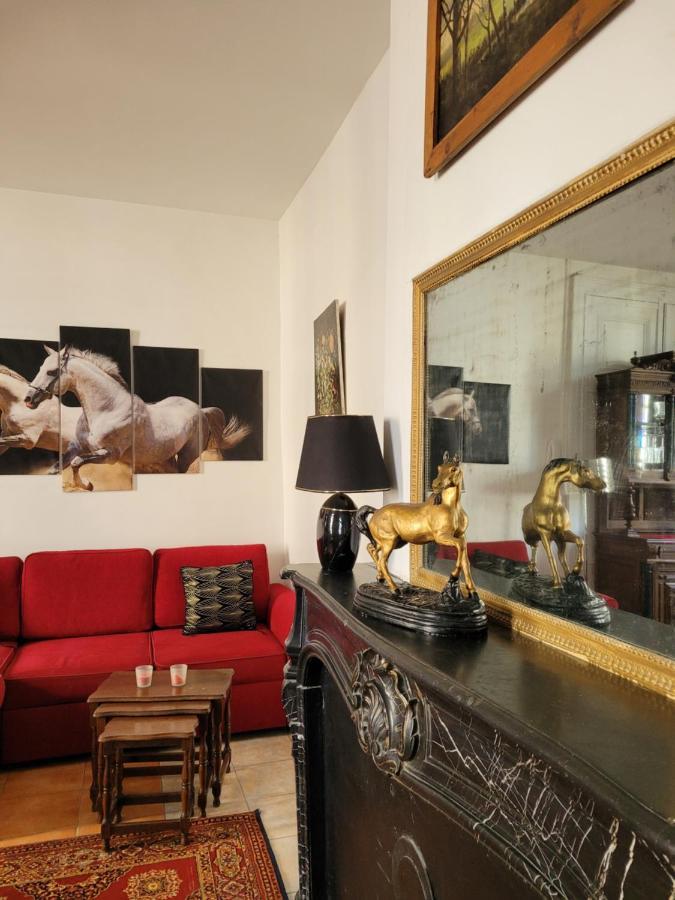 Studio Sequoia Au Pied Du Chateau Сомюр Экстерьер фото